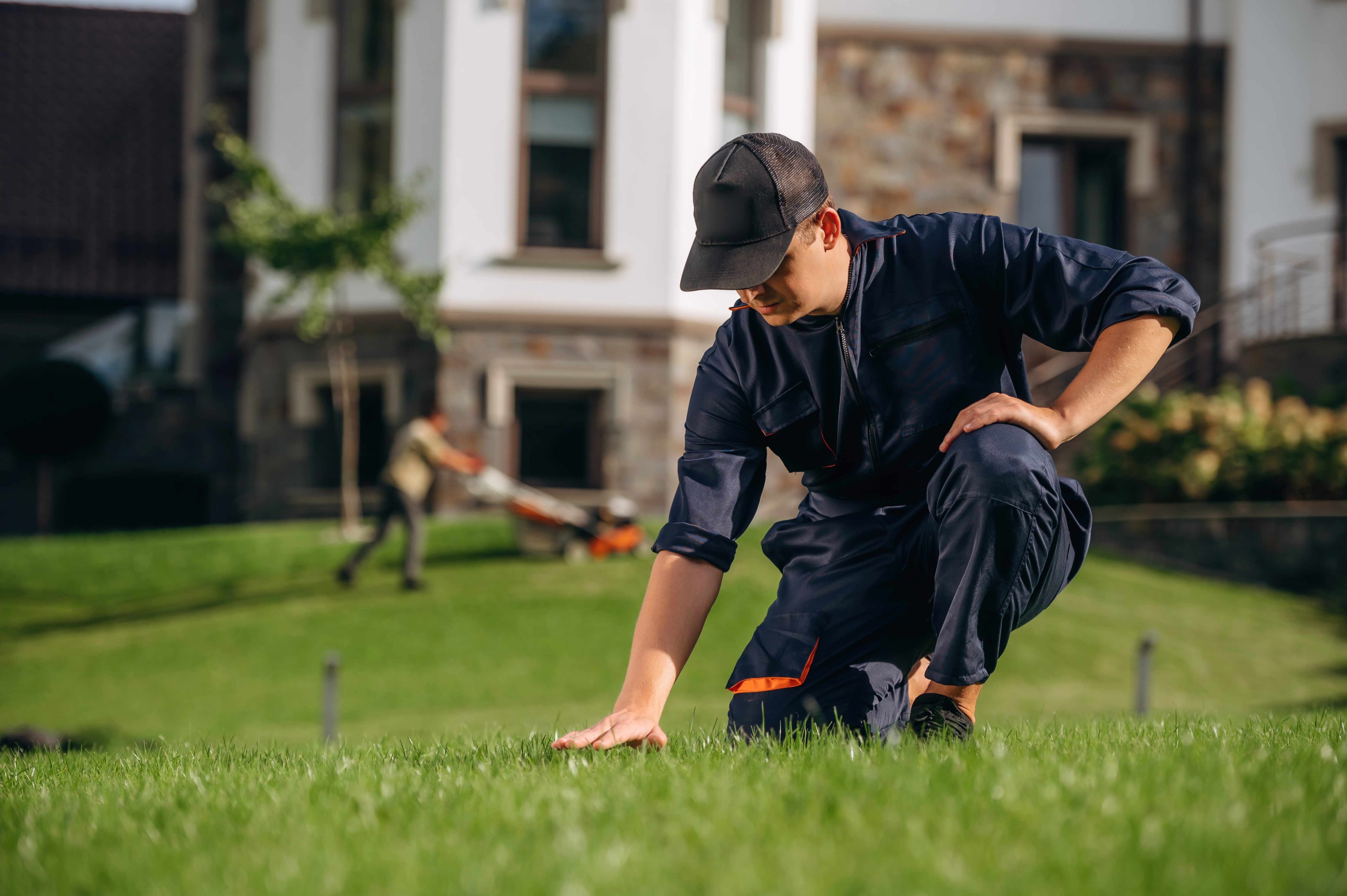 Lawn Mowing and Treatment Services in Erie